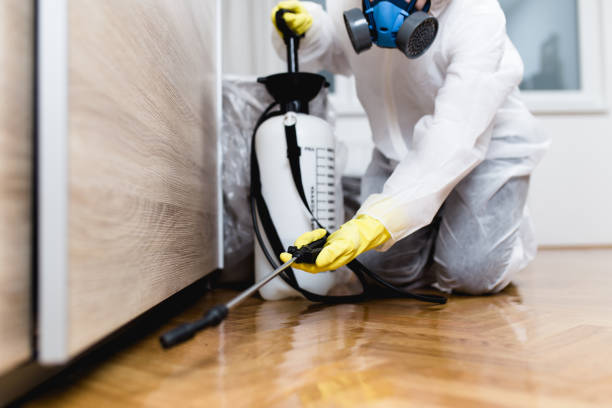 Best Wildlife Control Services  in Mineola, NY