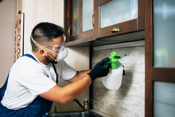 Best Local Pest Control Services  in Mineola, NY