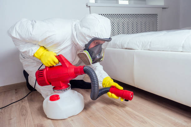 Best Pest Prevention Services  in Mineola, NY