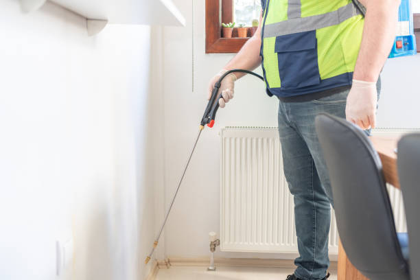 Best Emergency Pest Control  in Mineola, NY